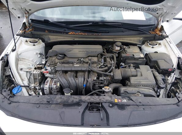 5NPLM4AG0PH113089 2023 HYUNDAI ELANTRA Белый Вид сзади