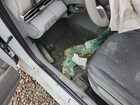 2021 Hyundai Elantra Sel Белый vin: 5NPLM4AG1MH012896 Damage: Left Front Seat Cushion, Stained, Permanent