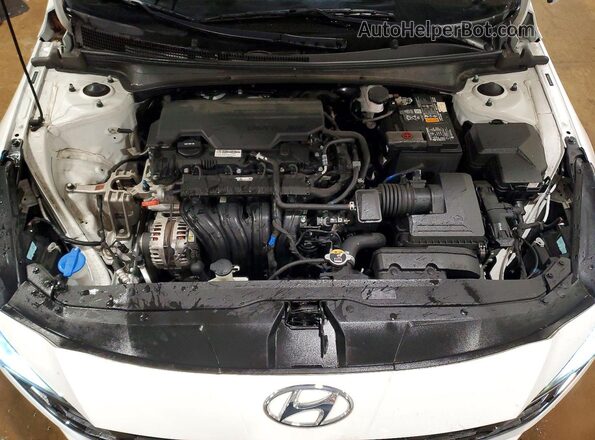 5NPLP4AG7PH087856 2023 HYUNDAI ELANTRA Белый Вид задней части салона