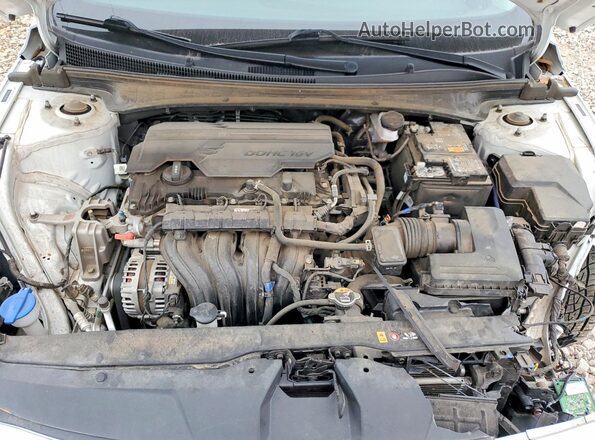 5NPLS4AG9PH086576 2023 HYUNDAI ELANTRA Белый Вид задней части салона