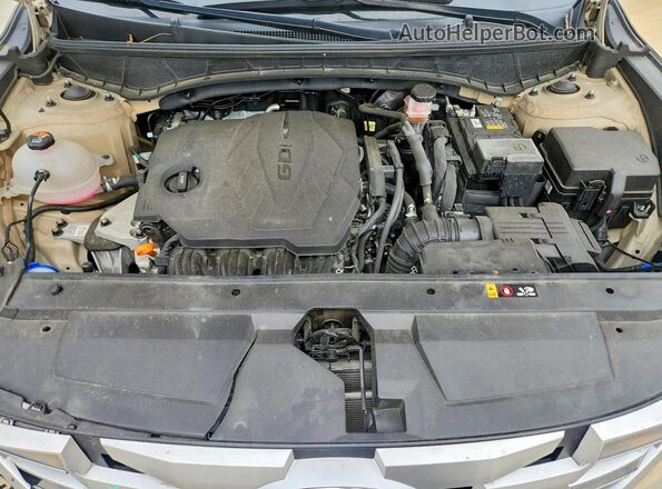 5NTJADAE2RH080714 2024 HYUNDAI SANTA Tan Vista interior trasera