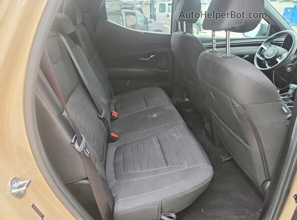 5NTJADAE2RH080714 2024 HYUNDAI SANTA Tan Vista de los asientos traseros
