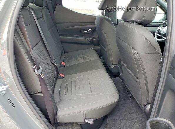 5NTJB4AE4RH083577 2024 HYUNDAI SANTA Серый Вид задних сидений
