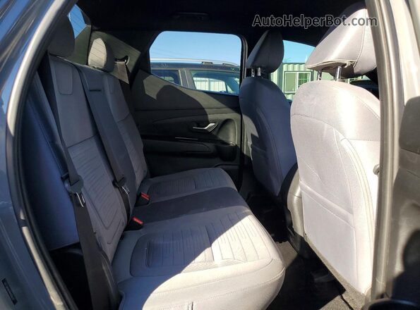 5NTJB4AE9RH100633 2024 HYUNDAI SANTA Серый Вид задних сидений