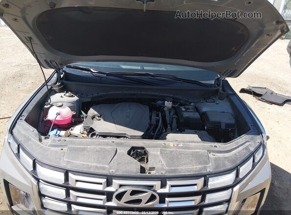 5NTJB4DE1SH138181 2025 HYUNDAI SANTA CRUZ Gray უკანა ხედი