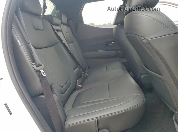 5NTJCDDEXSH152223 2025 HYUNDAI SANTA Белый Вид задних сидений
