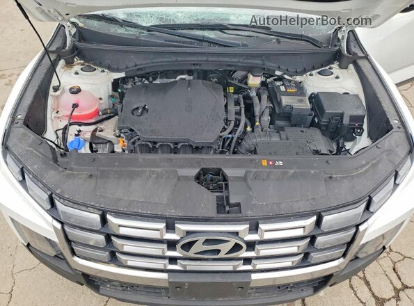 5NTJCDDEXSH152223 2025 HYUNDAI SANTA Белый Вид задней части салона