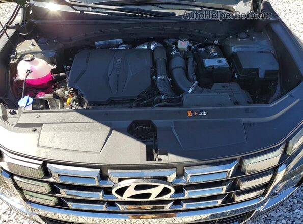 5NTJEDDF2SH151814 2025 HYUNDAI SANTA Зеленый Вид задней части салона