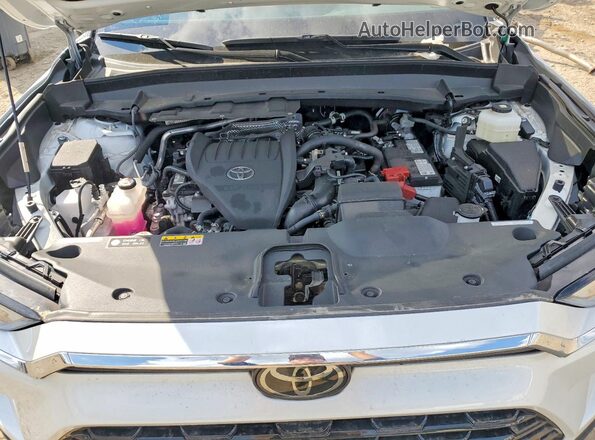 5TDAAAA52SS032840 2025 TOYOTA GRAND Белый Вид задней части салона
