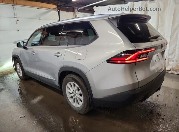 5TDAAAA53SS032555 2025 TOYOTA GRAND Silver Задня ліва чверть