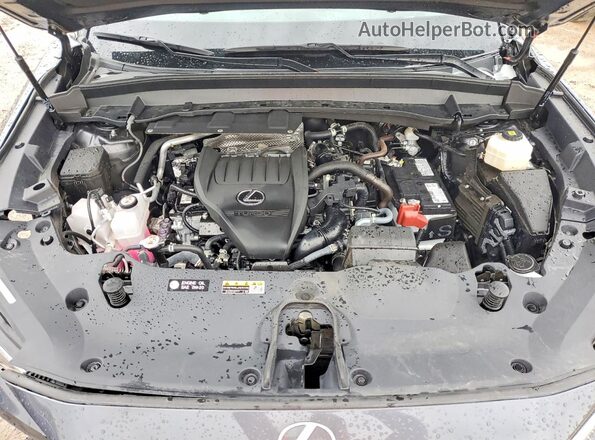 5TDAAAB63SS027623 2025 LEXUS TX Black Widok komory silnika