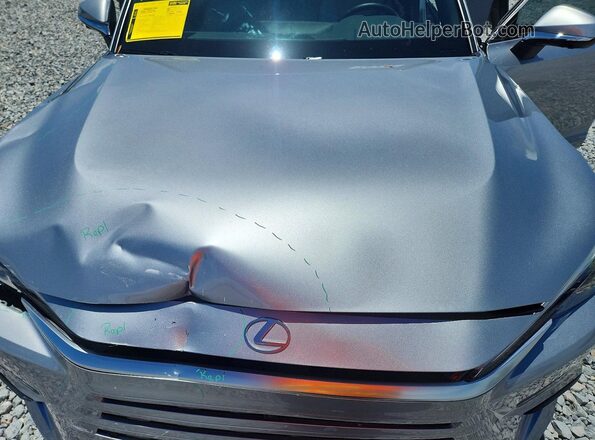 5TDAAAB65SS038235 2025 LEXUS TX Серебряный Вид задней части салона