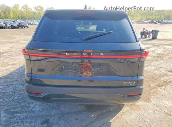 5TDAAAB6XSS023780 2025 LEXUS TX Черный Вид сзади