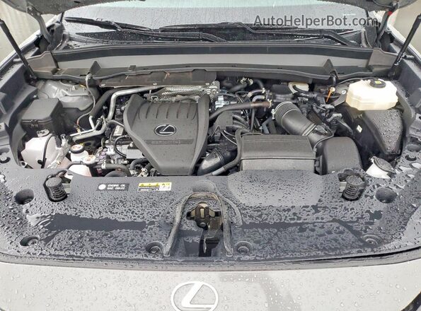5TDABAB63SS010558 2025 LEXUS TX Gray Vista del compartimento del motor