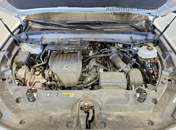 5TDABAB68RS004328 2024 LEXUS TX Белый Вид подкапотного пространства