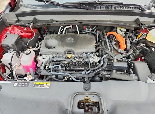 5TDACAB57SS058729 2025 TOYOTA LIMITED Burgundy Widok wnętrza z tyłu