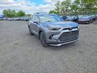 2025 Toyota Grand Highlander Hybrid Max Platinum Серый vin: 5TDADAB52SS014957