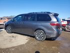 2020 Toyota Sienna Xle Gray vin: 5TDDZ3DC8LS230674