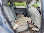 2021 Toyota Highlander Xle Синий vin: 5TDGZRBH7MS096465