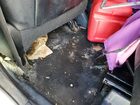 2017 Toyota Highlander Xle Silver vin: 5TDJZRFHXHS401026 Damage: Left Rear Carpet, Stained, Permanent