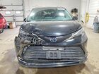 2024 Toyota Sienna Xle Black vin: 5TDYRKEC0RS205982