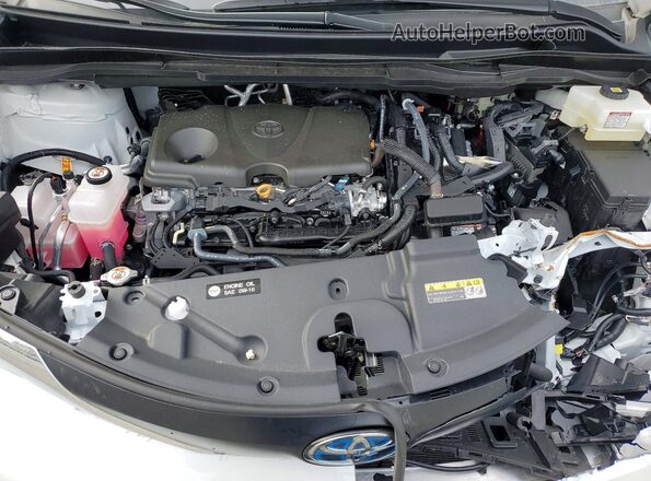 5TDYRKEC2SS289437 2025 TOYOTA SIENNA White Widok wnętrza z tyłu