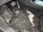 2024 Toyota Sienna Xle 7-passenger Green vin: 5TDYSKFC0RS140490 Damage: Left Front Carpet, Stained, Permanent