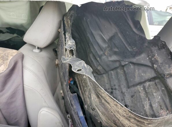 5TDYZ3DCXLS039016 2020 TOYOTA SIENNA Blue Widok wnętrza z tyłu