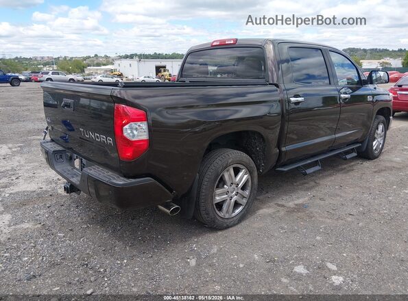 5TFAY5F18KX869935 2019 TOYOTA TUNDRA Brown Задня права чверть