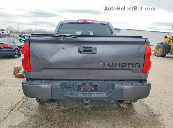 5TFDY5F19KX804993 2019 TOYOTA TUNDRA Серый Вид сзади