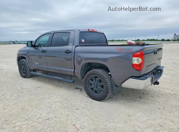 5TFEM5F16GX097326 2016 TOYOTA TUNDRA Серый Задняя левая четверть