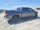 2019 Toyota Tundra Sr5 Черный vin: 5TFEM5F16KX135324