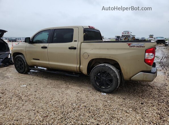 5TFEM5F18KX141691 2019 TOYOTA TUNDRA Желто-коричневый 