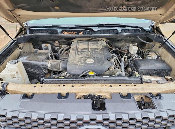 5TFEM5F18KX141691 2019 TOYOTA TUNDRA Желто-коричневый Вид задней части салона