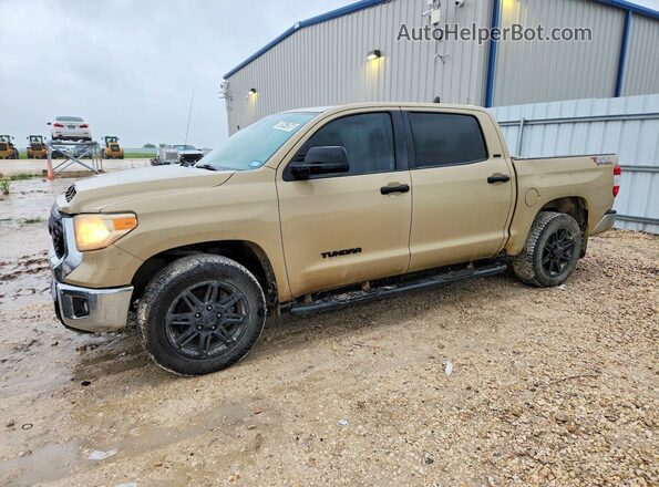 5TFEM5F18KX141691 2019 TOYOTA TUNDRA Желто-коричневый Передняя левая четверть