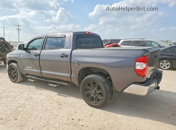 5TFEY5F16KX253197 2019 TOYOTA TUNDRA Gray უკანა მარცხენა