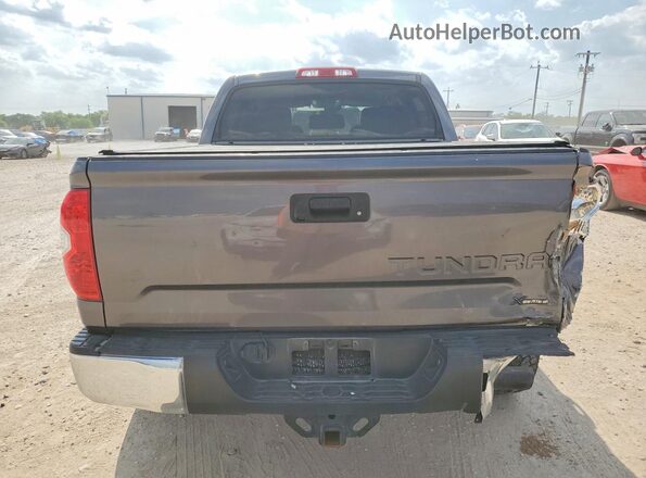 5TFEY5F16KX253197 2019 TOYOTA TUNDRA Gray უკანა ხედი
