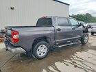 2019 Toyota Tundra Crewmax Sr5 Gray vin: 5TFEY5F19KX247135