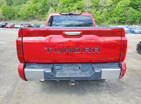 5TFJA5DB1NX005457 2022 TOYOTA TUNDRA Красный Вид сзади