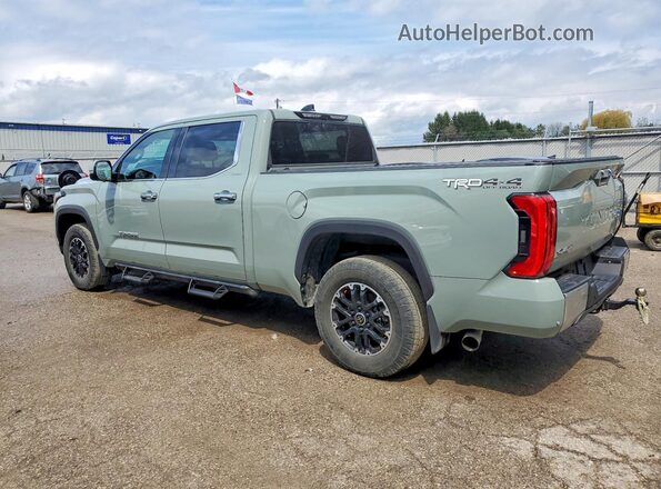 5TFJA5EC7PX017686 2023 TOYOTA TUNDRA Зеленый Задняя левая четверть