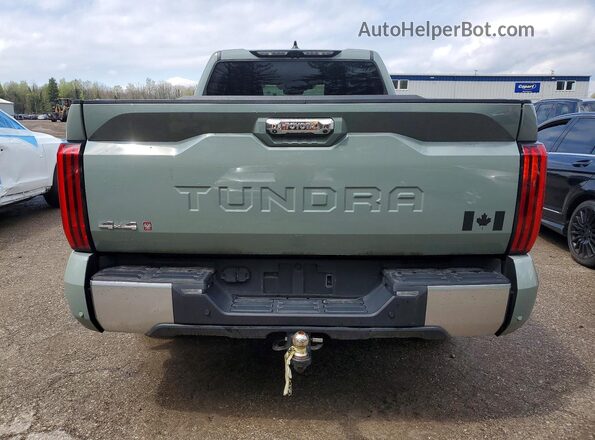 5TFJA5EC7PX017686 2023 TOYOTA TUNDRA Зеленый Вид сзади