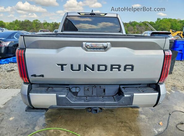 5TFJC5DB4RX072621 2024 TOYOTA TUNDRA Серебряный Вид сзади