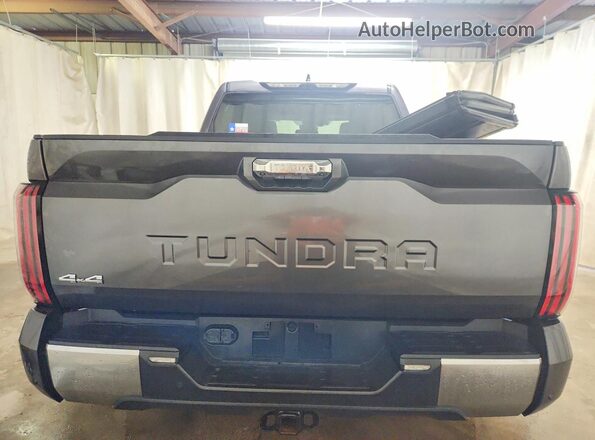 5TFJC5DB4RX076572 2024 TOYOTA LIMITED Gray Вид ззаду