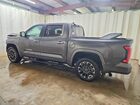 2024 Toyota Tundra Limited Hv Gray vin: 5TFJC5DB4RX076572