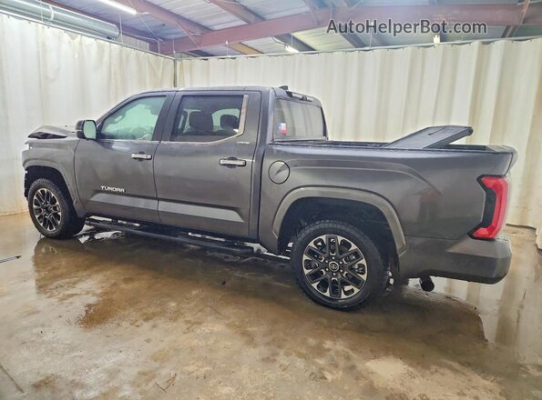 5TFJC5DB4RX076572 2024 TOYOTA LIMITED Gray Задня ліва чверть