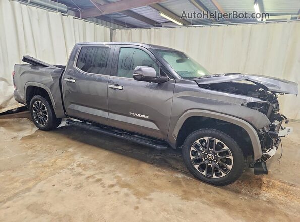 5TFJC5DB4RX076572 2024 TOYOTA LIMITED Gray Передня права чверть