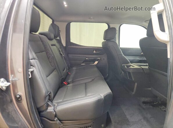 5TFJC5DB4RX076572 2024 TOYOTA LIMITED Gray Вид задніх сидінь