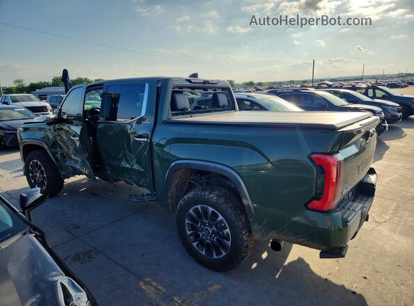 5TFJC5DB9PX026733 2023 TOYOTA TUNDRA Green Tył lewy