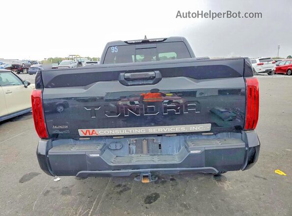 5TFKB5DA5SX253666 2025 TOYOTA TUNDRA Черный Вид сзади