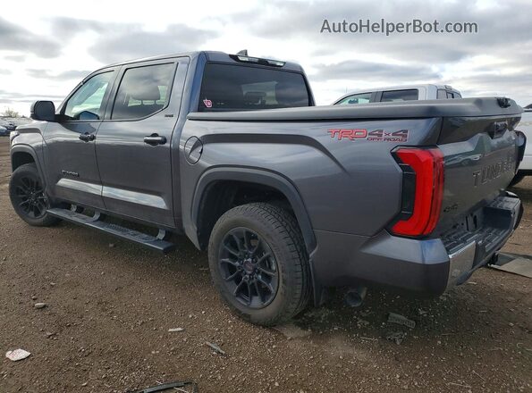 5TFLA5DB0PX112138 2023 TOYOTA TUNDRA Gray Trasero izquierdo